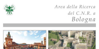 Scuola preparatoria per l’abilitazione degli esperti qualificati nella sorveglianza fisica della radioprotezione SCUOLA PREPARATORIA PER L'ABILITAZIONE DEGLI ESPERTI QUALIFICATI NELLA SORVEGLIANZA FISICA DELLA RADIOPROTEZIONE