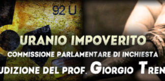 Commissione Parlamentare di inchiesta: audizione del prof. Giorgio Trenta